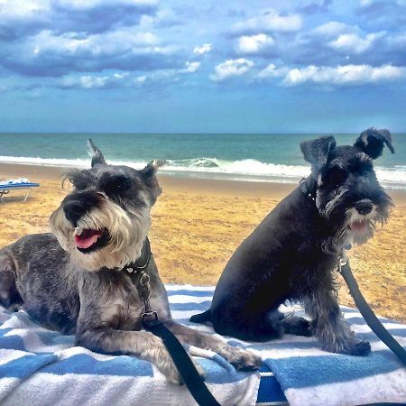 South Beach Inn Beach Motel South Padre Island Εξωτερικό φωτογραφία